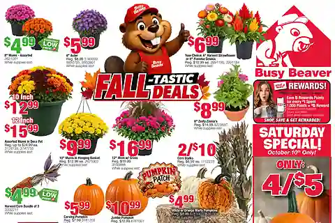 Busy Beaver Weekly Ad (Oct 21 - Nov 3, 2026) Preview